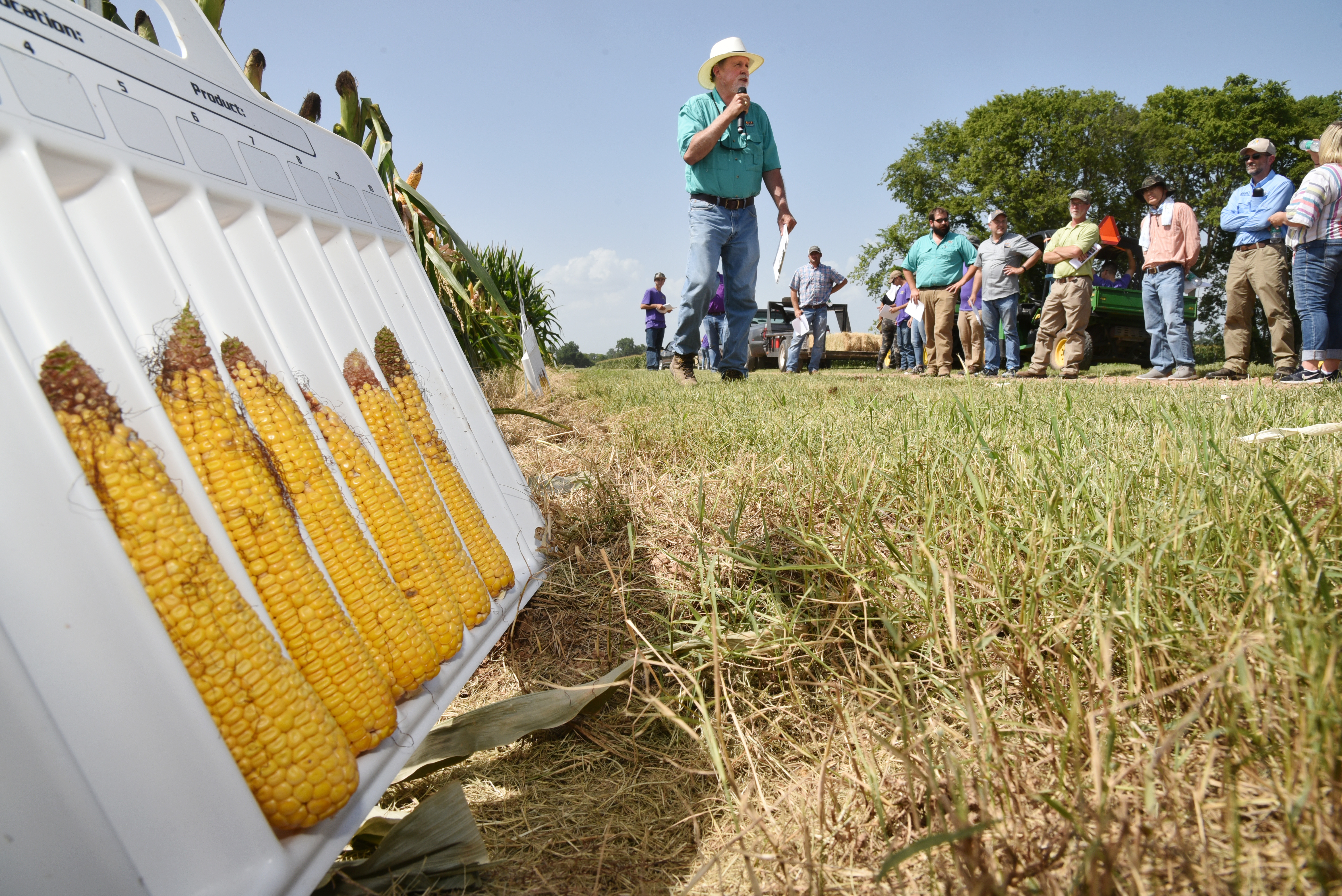Field day expo teaches about many aspects of agriculture